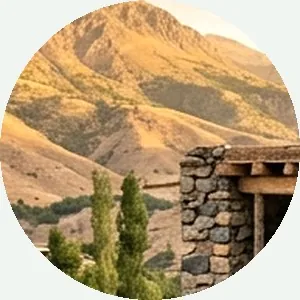 داوطلب 2